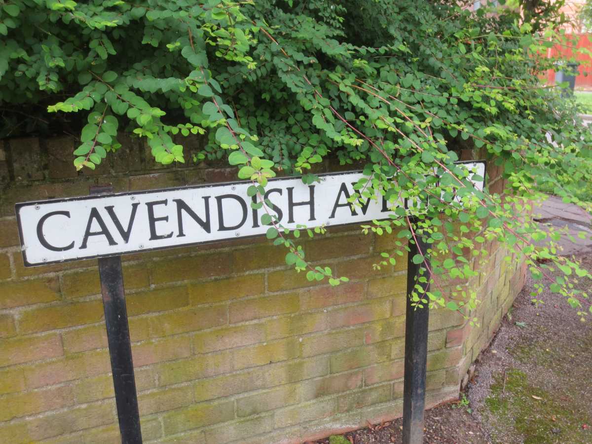 Cavendish Avenue, Cambridge Cavendish Avenue, Cambridge