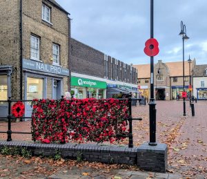 War Memorial Ely 2025