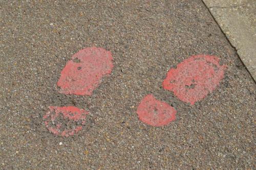 MRD-Bootprints-17-Jun-2015-SL