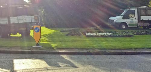 MRD-Milton-Rd-Council-planting-Oct-2015-SL